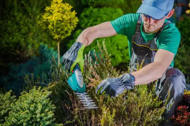 landscaping services Ellington